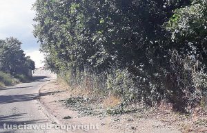 Bagnaia - Taglio dell'erba in zona Pian di Quercia