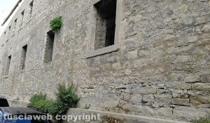 Viterbo - Ex scuderie Sallupara - La erbacce