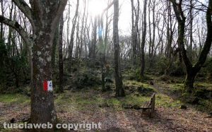 Visita alla Riserva Naturale Selva del Lamone