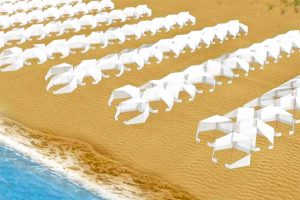 Il progetto "Bee safe"