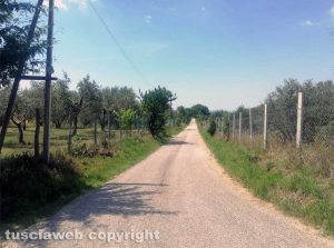 Viterbo - Strada Montigliano a Tobia