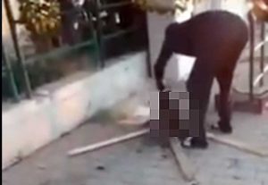 Livorno - Uccide gatto in strada