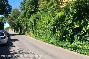 Viterbo - Incuria in via del Pilastro