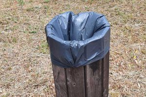 Viterbo - Il cestino al parco delle Querce