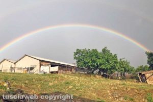 Viterbo - Arcobaleno