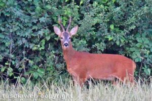 WhatsApp-Image-2020-06-16-at-23.47.27