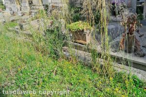 Viterbo - Incuria al cimitero