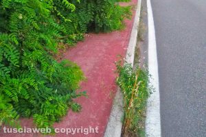 Viterbo - Il percorso pedonale in strada Bagni
