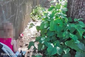 Viterbo - Incuria sui marciapiedi in viale Fiume