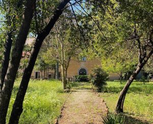 Vetralla - L'ex convento settecentesco dove saranno organizzati gli eventi di Officina Meraviglia