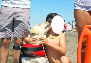 Tarquinia - Il bimbo di 6 anni e il Labrador Panna dopo il salvataggio