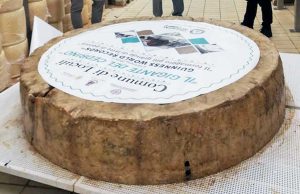 Il gigante del Cedrino