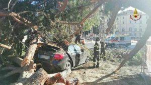 Roma - L'albero caduto su una macchina a piazza Venezia