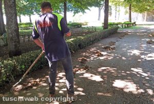 Montefiascone - L'Asvom Odv al lavoro nei giardini della Rocca dei Papi