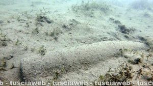 Gradoli - La bomba trovata nel lago di Bolsena nel 2020