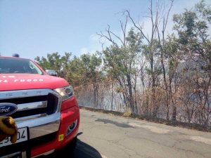Incendio a Monte Romano - Vigili del fuoco in azione
