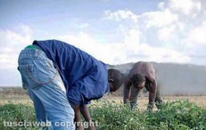 Braccianti agricoli - Immagine di repertorio