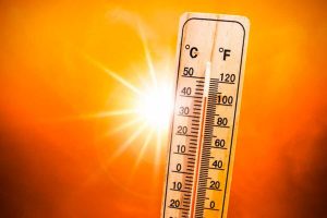 Caldo record