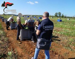 Falsi braccianti a Lecce