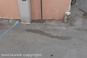 Tarquinia - Sporcizia in centro