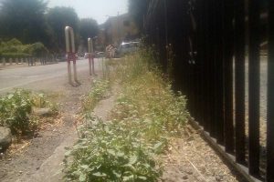 Montefiascone - Incuria nel paese