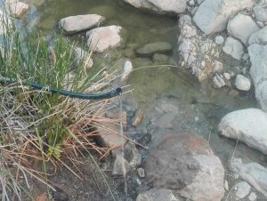 Barbarano Romano - Parco Marturanum - Danni all'impianto di all’abbeveraggio bestiame