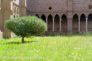 Viterbo - Unitus - Il chiostro duecentesco