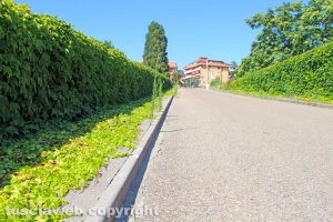 Viterbo - Unitus - Il complesso di Santa Maria in Gradi