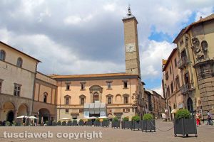 Viterbo - Le fioriere di piazza del comune