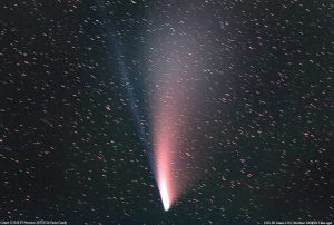 Cometa Neowise