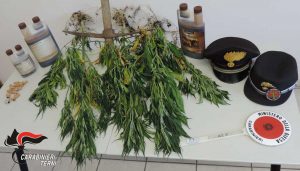 Il sequestro dei carabinieri di Terni a Stroncone