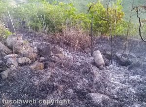 Montefiascone - Incendio di sterpaglie in località Paoletti