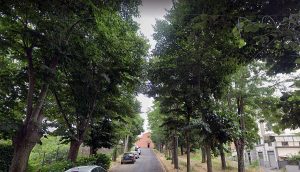 Viterbo - Via san Crispino