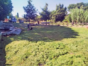 Vetralla - Via Francigena - Fossato Callo