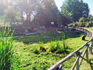 Vetralla - Via Francigena - Fossato Callo