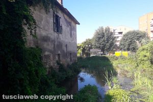 Tarquinia - Degrado nel terreno tra via Pertini e via Dalla Chiesa