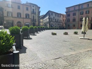 Viterbo - Le fioriere a piazza del Comune