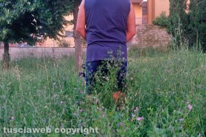 Viterbo - Incuria alla Grotticella