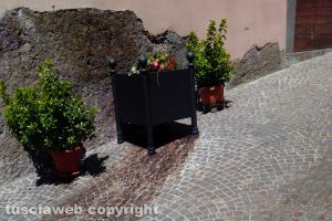 Soriano nel Cimino - Olio sversato nelle fioriere