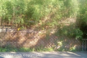 Montefiascone - Incuria nel condominio di Santa Maria delle Grazie