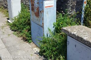 Viterbo - Il taglio d'erba nel parcheggio di Valle Pierina