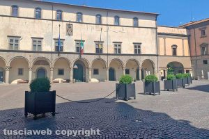 Viterbo - Le fioriere a piazza del Comune