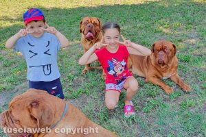 Amore tra bimbi e dogue de Bordeaux