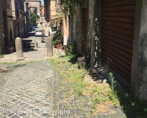 Viterbo - Erbacce a via della Salita
