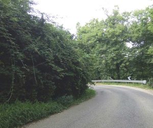 Carbognano - Strade invase dalla vegetazione