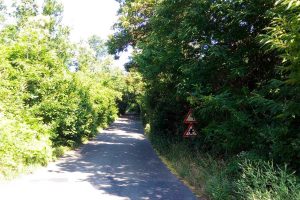 Carbognano - La via Falisca