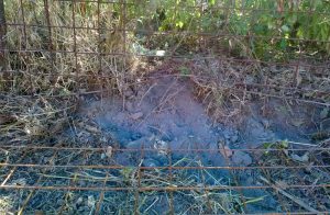 Barbarano Romano - Danni da fauna selvatica al campo sportivo