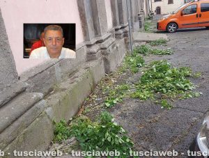 L'erba tagliata a piazza Fontana grande - Nel riquadro Giulio Marini
