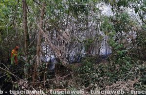 L'incendio in un bosco a San Lorenzo Nuovo