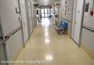 Viterbo - Belcolle - Un corridoio